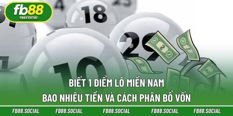 Kỹ năng tối ưu điểm bao lô đạt hiệu quả cao 