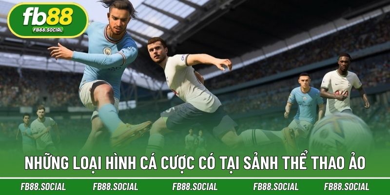 Những loại hình lựa chọn cược sảnh chơi trận đấu ảo