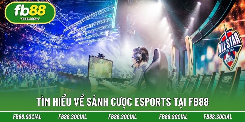 Thông tin cơ bản về sảnh chơi Esports ấn tượng